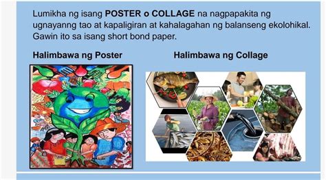 Kahalagahan at Benepisyo ng Isang Puno sa Kapaligiran.